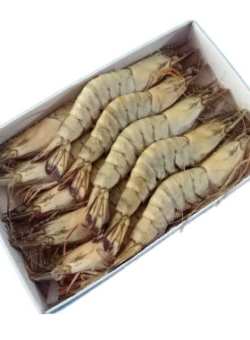 餐厅好货10礼品佳品黑虎草虾斑节