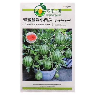 盆栽小西瓜种子红瓤含糖14度薄皮