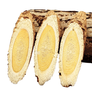 甘肃黄芪大片500g中药材正品官方旗舰店北芪片黄茋泡水喝黄茋