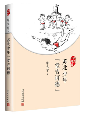 正版苏北少年堂吉诃德毕飞宇