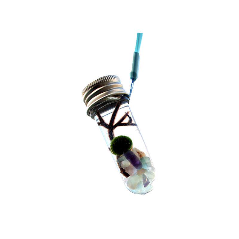 球藻生态瓶萌系物语情绪解压植物