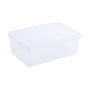 多功能加厚密封透明PP保鲜盒可微波可冷冻便携盒蔬菜肉水果收纳盒