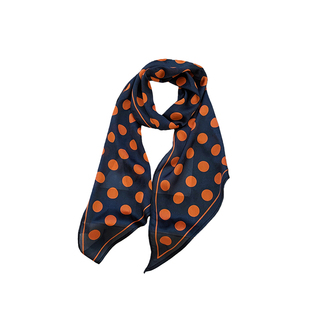 小长条丝巾女春款法式复古装饰百搭发带绑带高级感系脖领巾配饰