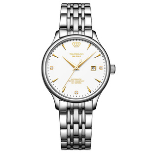 【年货节】天王金标送福 经典商务18K金钢带机械女士手表5876