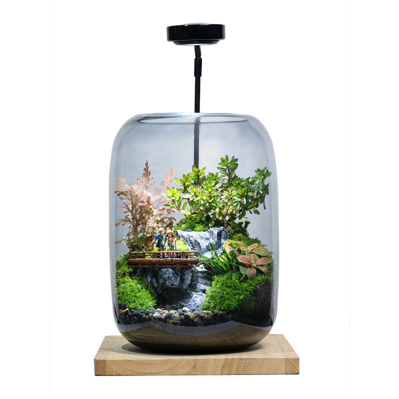 苔藓微景观桌面绿植礼物家居装饰
