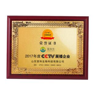 金箔奖牌定制定做授权牌木托牌匾制作木质荣誉铜牌奖杯代理证书牌
