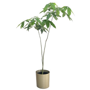 顺丰送货上门发财树室内植物盆栽枝叶个性造型树室内绿植摆件