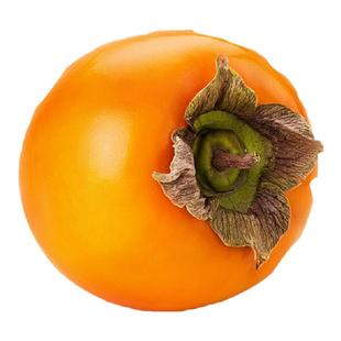 四川脆甜柿子苗树盆栽庭院大小果树苗北方南方种植树果苗大全活苗