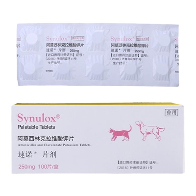 速诺250mg宠物狗猫咪感冒药兽用