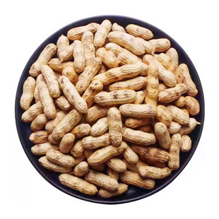 柴火铁锅炒花生2025新货原味现炒带壳花生当季大果下酒菜休闲零食