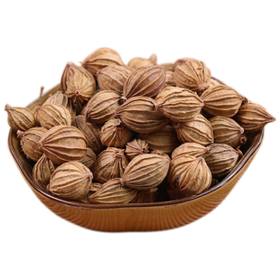 香砂仁川砂仁土砂仁卤肉料火锅香料增香调味香辛料天然佐料500g