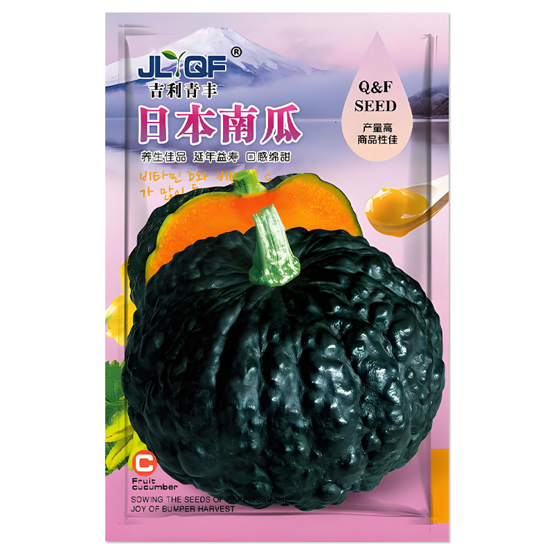 日本南瓜种子黑皮瓜果种子