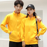 Wy208 Сплошная молния на молнии