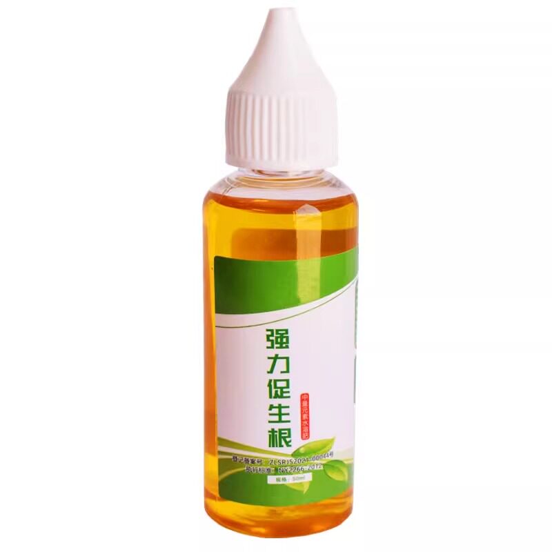 快速生根液绿植物通用扦插移栽花卉树木强力壮苗生根剂多肉生根