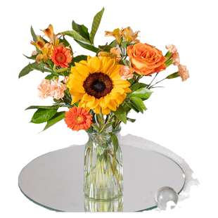 花点时间大森林每周鲜花送花生日订同城速递云南基地直发送女友