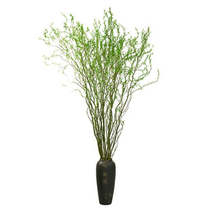 招财黄金龙柳枝条树干装饰室内高级感侘寂风天然真干花摆件插花枝