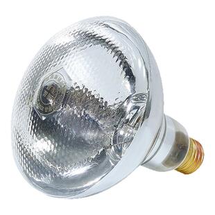 保温灯养殖取暖灯泡仔猪用养殖场专用兽用芦丁鸡保温灯加热电烤灯