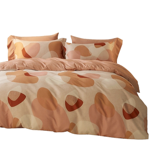 南方寝饰ins磨毛床上四件套纯棉全棉印花保暖冬天被套床单床笠款