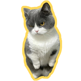 定制防水贴纸打印不干胶DIY头像照片大头贴异形图片表情包贴画