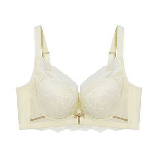 锁春秋季新款小胸聚拢内衣女中厚杯收副乳防外扩上托不空杯文胸