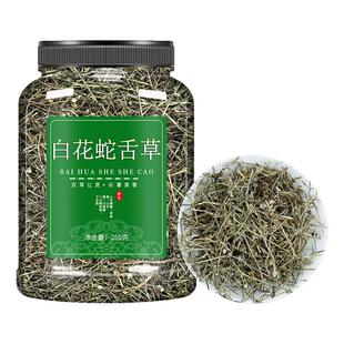 野生白花蛇舌草中药材百花蛇舌草和半枝莲中草药泡水喝功效和作用