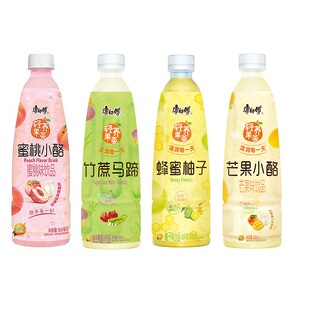 康师傅蜂蜜柚子蜜桃芒果小酪竹蔗马蹄500ml瓶装果蔬汁果味饮品