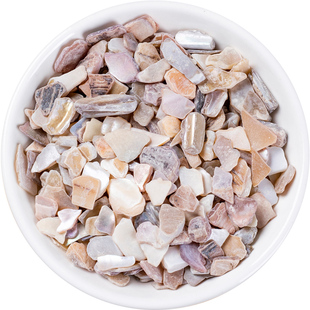 珍珠母中药材500克/250g珍珠母蚌壳水洗磨皮真珠母明珠母珍珠母粉