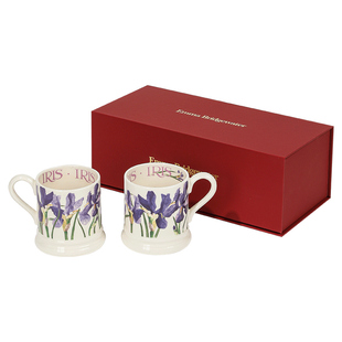礼盒装Emma Bridgewater陶瓷咖啡水杯马克杯情侣对杯新年结婚礼物