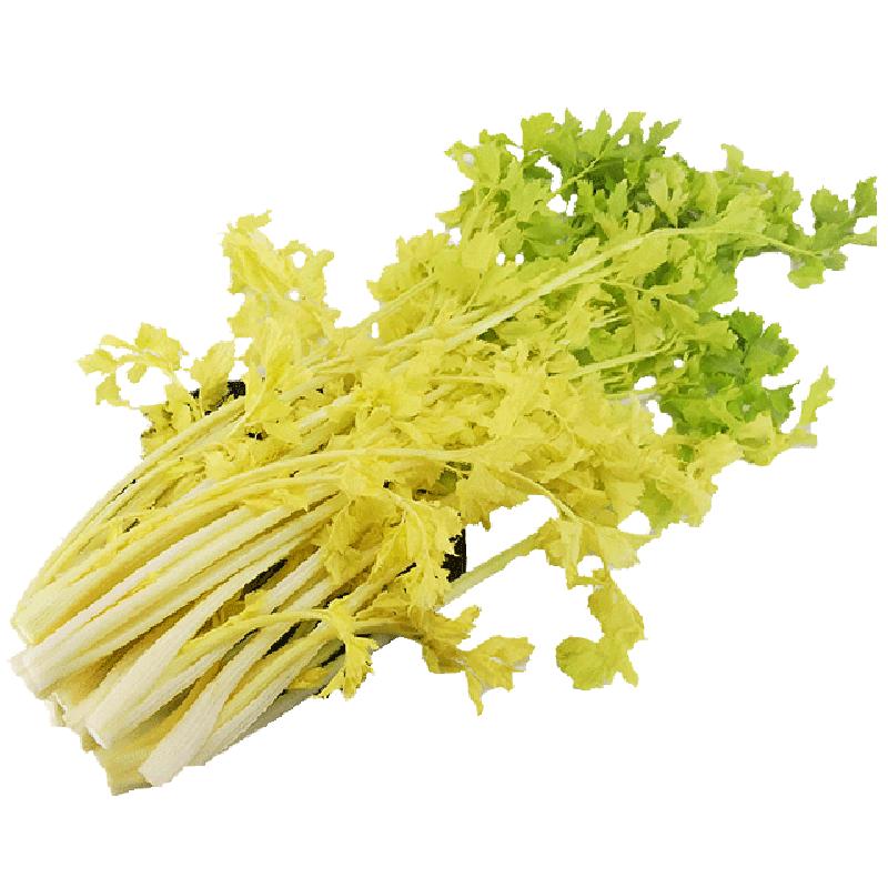 馬家溝芹菜青島特產(chǎn)平度新鮮蔬菜精品嫩芯 2斤裝空心芹菜順豐航空
