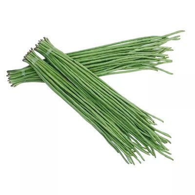 摘不败高产豇豆种子阳台盆栽