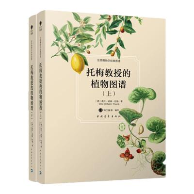 世界博物学经典图谱——托梅教授的植物图谱（上下）奥托·威廉·托梅 中国青年出版社自然科普手绘书籍正品超