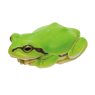 虾壳社 现货日本IKIMON扭蛋 日本雨蛙合集 爬宠盲盒摆件挂件 标本