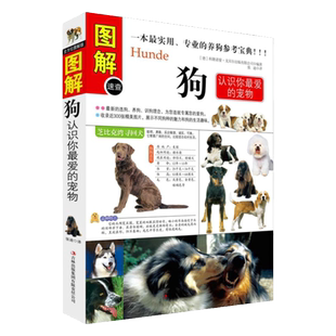 图解狗认识你最爱的宠物养狗书籍名犬宠物书籍狗品种大全关于狗狗的书训犬书籍宠物书狗书养狗知识狗狗大全狗书籍养狗手册训狗书