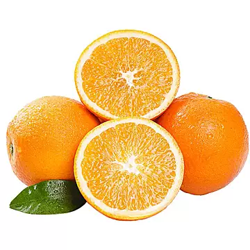 正宗赣南脐橙现摘净重4.5斤