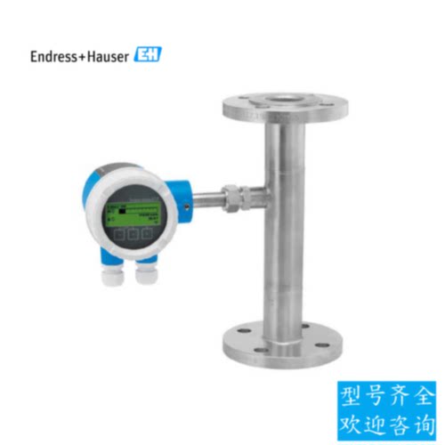 议价EH热式质量流量计6AAB50-AADAAAASAA12G恩德斯豪斯液体测量检