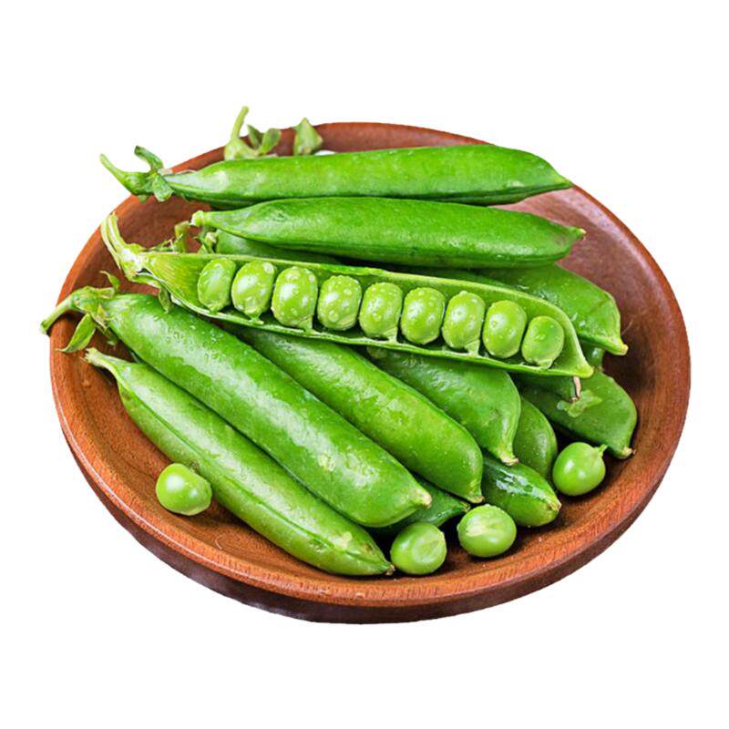 云南农家种植新鲜豌豆带壳豌豆水果豌豆青豌豆甜豆现摘现发5斤装
