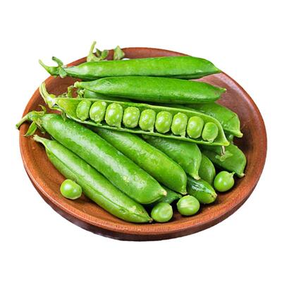 云南农家种植新鲜豌豆带壳豌豆水果豌豆青豌豆甜豆现摘现发5斤装