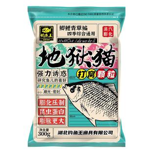 钓鱼王地狱猫打窝颗粒昆虫蛋白野钓打窝鲫鱼鲤鱼红虫底窝四季鱼食