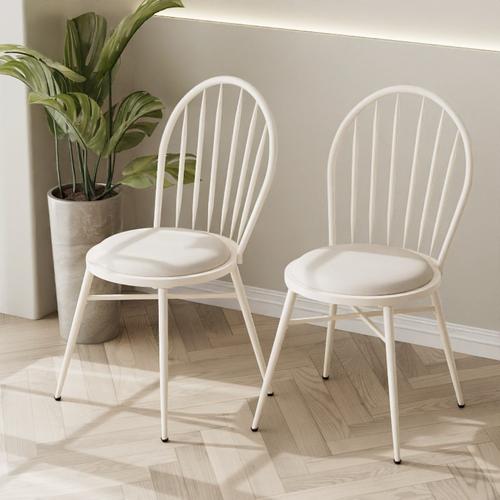 新品 复古美式家用铁艺椅户外咖啡厅奶茶店休闲靠背椅工业风孔雀