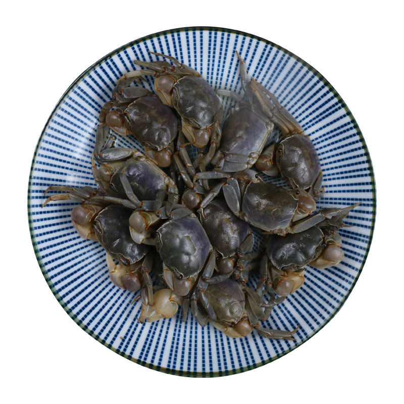 宁波特产醉蟹白玉蟹蟛蜞腌制螃蟹900g即食生腌海鲜舟山炝蟹咸呛蟹