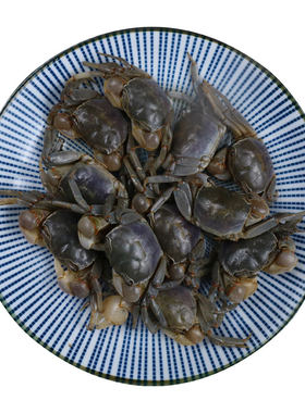 舟山醉白玉蟹生腌海鲜900g/罐