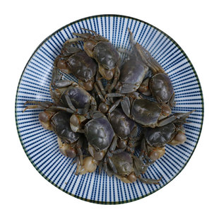 宁波特产醉蟹白玉蟹蟛蜞腌制螃蟹900g即食生腌海鲜舟山炝蟹咸呛蟹