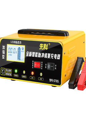 先科汽车电瓶充电器12v24v大功率