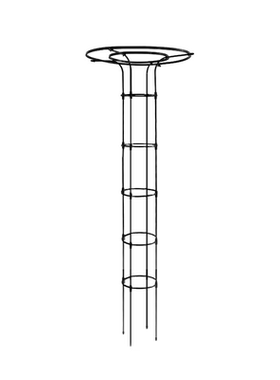 伞形花架月季爬藤支架