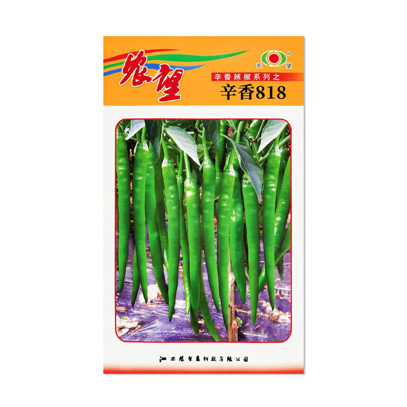 农望辛香818辣椒种子长线椒