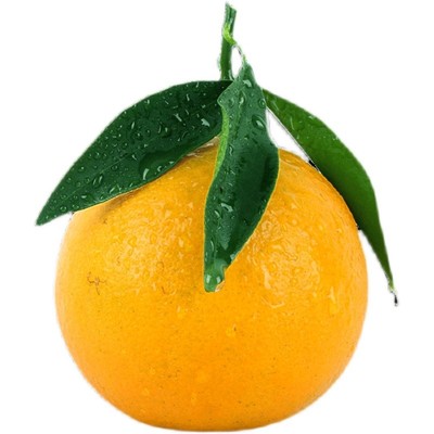 红江橙正宗红江农场直发廉江红橙