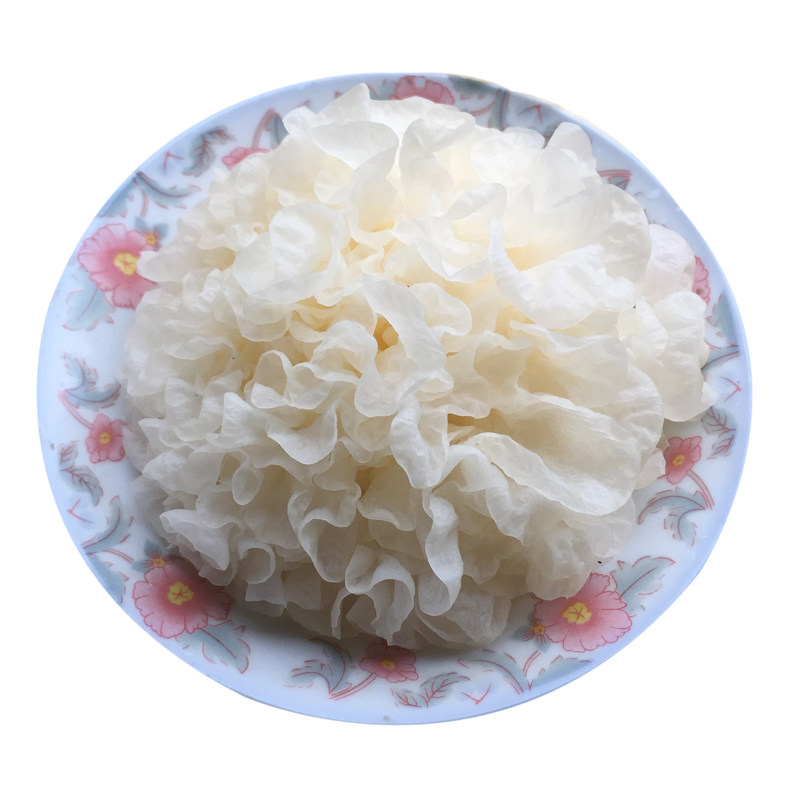 新鲜银耳古田湿白木耳糯6朵盒装活无硫非干货易出胶生雪耳带菌棒