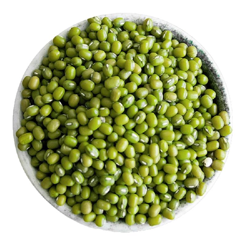 当季新货绿豆汤粥解暑可发豆芽绿豆五谷杂粮优质发豆芽易出沙开花