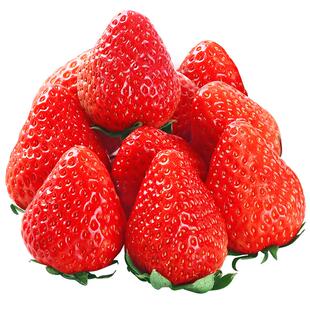丹东99草莓新鲜水果应当季红颜奶油现货九九牛奶大整箱3顺丰包邮