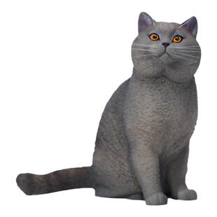 JXK蓝猫 英短模型 英国短毛猫 猫咪周边玩偶手办公仔装饰摆件